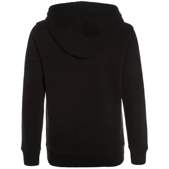 Sudadera Billlabong Access Hood