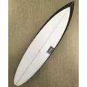 Surfboard Pukas Water Lion