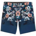 Vissla Gypsy Coast 18,5'' boardshort