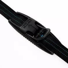 Gurt FCS Tie Down D-Ring 2