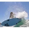 Planche de surf Firewire Seaside