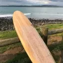 Planche de surf Firewire Greedy Beaver TimberTek