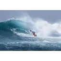 Surfbrett Torq fish Classic Design