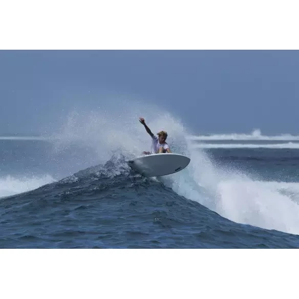 Surfbrett Torq fish Classic Design