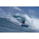 Surfboard Torq Fish Twin TEC