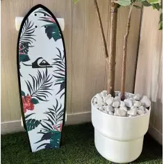 Skateboard cruiser Quiksilver Paradise Express 2
