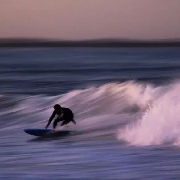 Surfbrett softboard Ryder Retro Fish Black