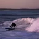 Softboard Ryder Retro Fish Black