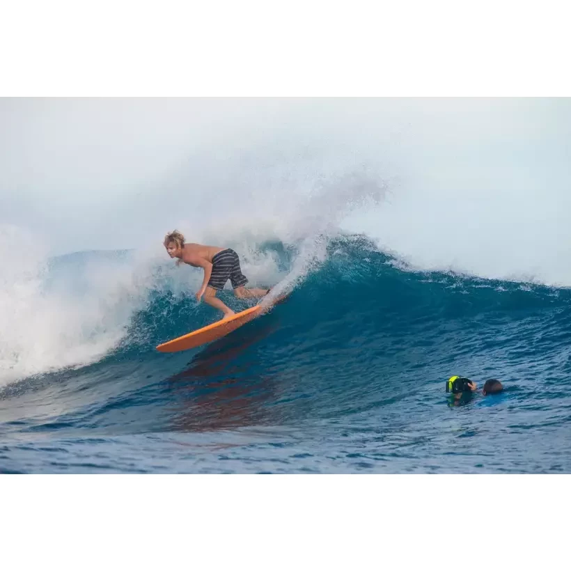 Surfboard Torq Funboard Pinline Color Rail