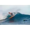 Surfbrett Torq Funboard Pinline Color Rail