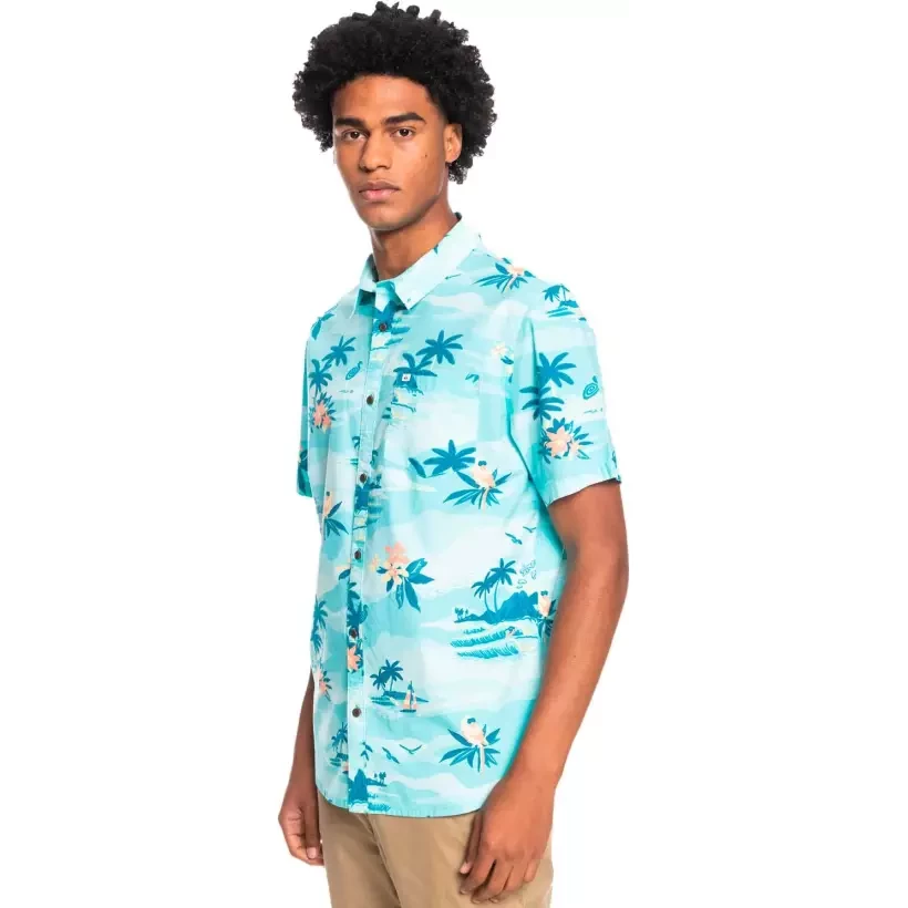 Camisa Quiksilver Birdwatcher blue