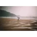 Surfbretter Pukas The Link Hp