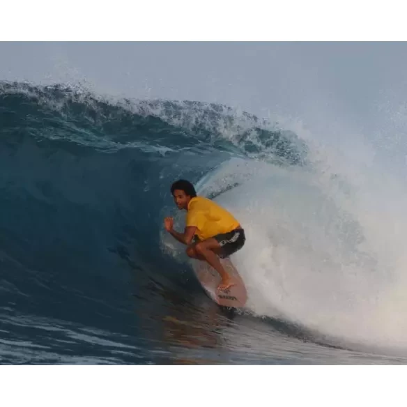 Planche de surf Channel Island Twin Pin