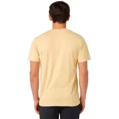 Camiseta Rip Curl striped 2