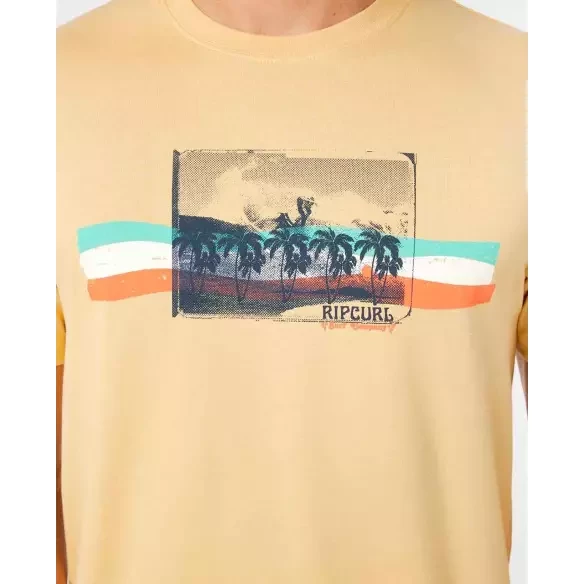 Rip Curl striped T-Shirt