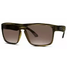 Sonnenbrillen Liive Voyager Polar Brown Stripe