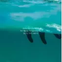Wax Ocean & Earth Max Wax Eco Friendly Cold