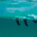 La Paraffina Ocean & Earth Max Wax Eco Friendly Cool