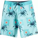 Billabong zwembroek Sundays Coastal