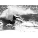 Tavola Da Surf Slater Designs Great White