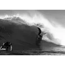 Prancha de surf Slater Designs Great White