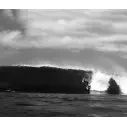 Surfboard Slater Designs Great White