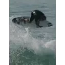 Prancha de surf Channel Island CI Pro