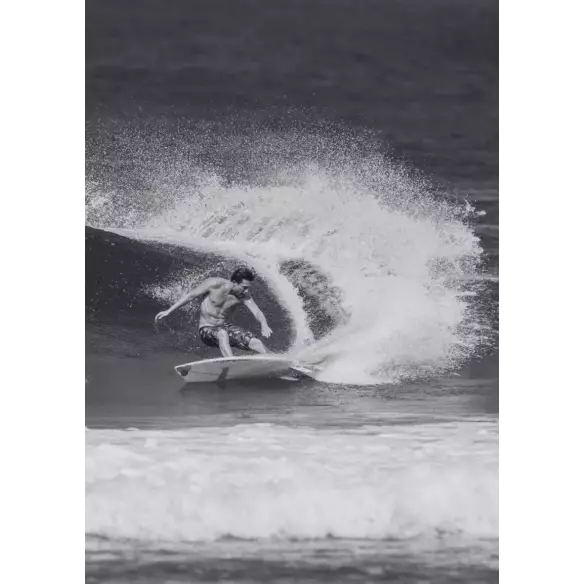 Tabla de surf Channel Island Fishbeard