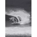 Surfboard Channel Island Fishbeard