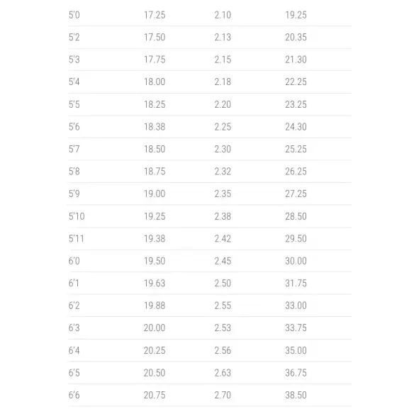 Planche de surf Lost 3.0 Stub Driver Light Speed