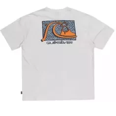 Tee Shirt quiksilver Take Us Back White 2