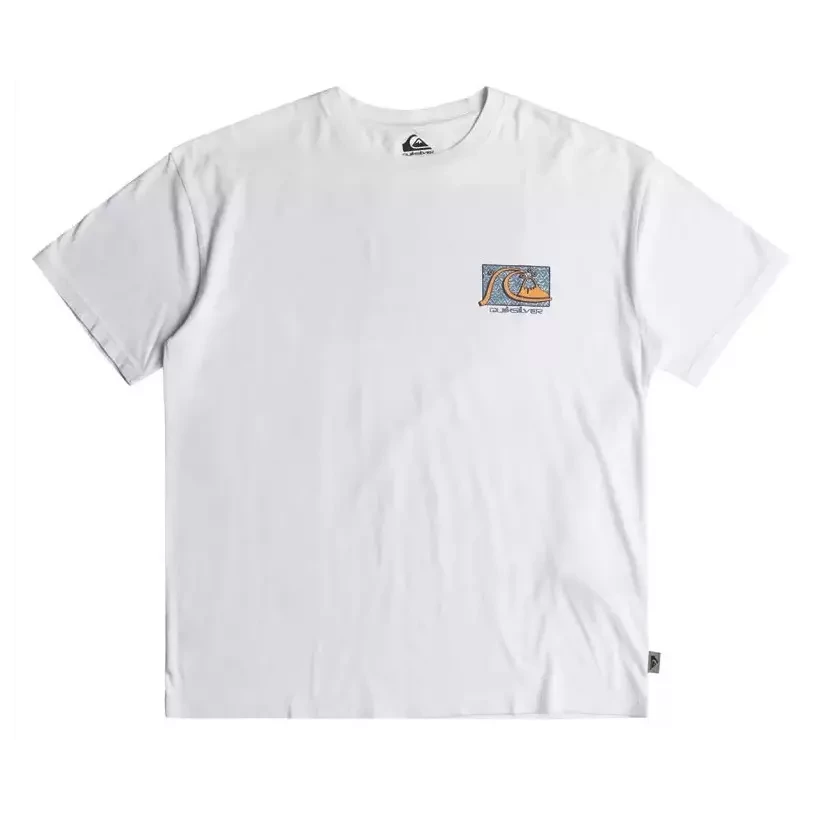 Tee Shirt quiksilver Take Us Back White