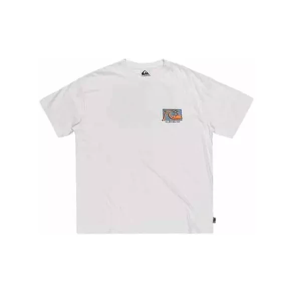 Tee Shirt quiksilver Take Us Back White