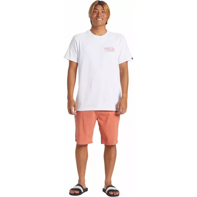 Quiksilver Everyday Union Light Canyon Clay corto