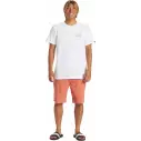 Short Quiksilver  Everyday Union Light Canyon Clay