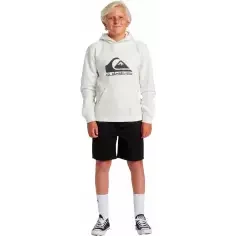 Suéter Quiksilver big logo Beige Junior 2