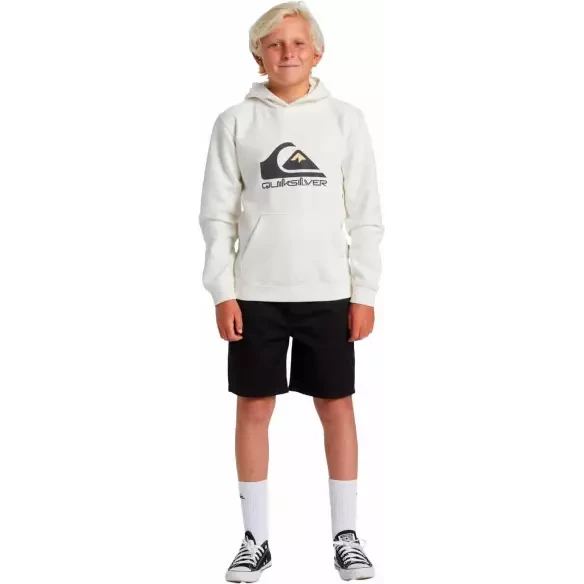 Sudadera Quiksilver big logo Beige Junior