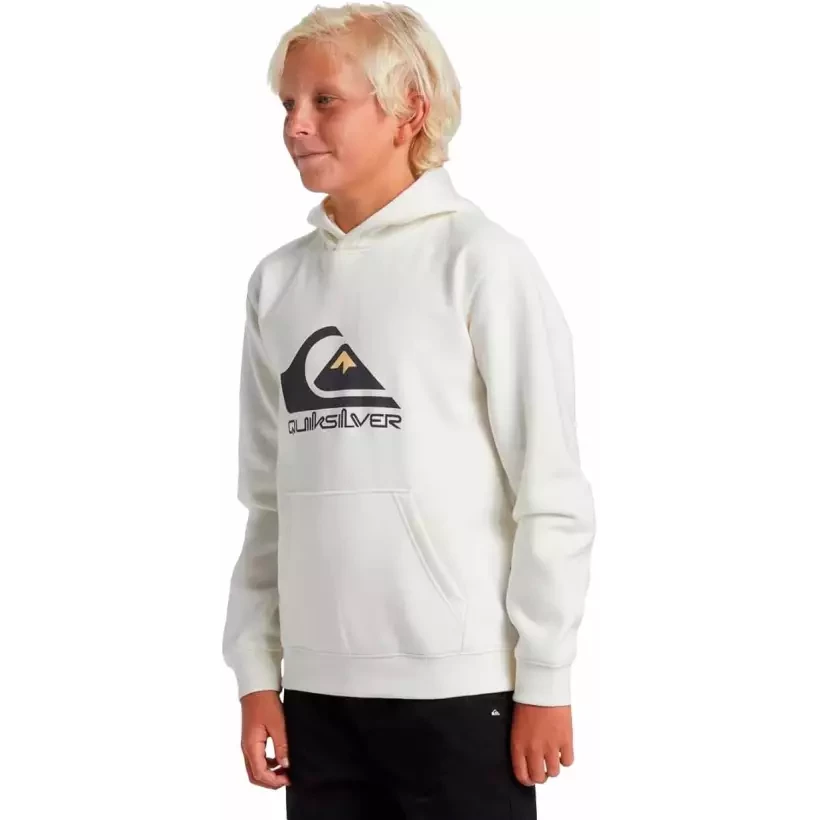 Sudadera Quiksilver big logo Beige Junior
