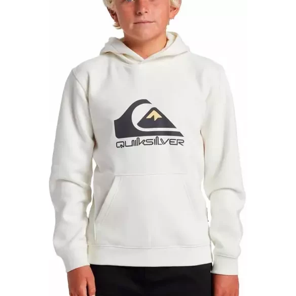 Sudadera Quiksilver big logo Beige Junior