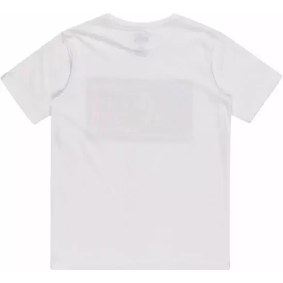 Camiseta quiksilver Day Tripper white Junior