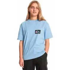 Maglietta Quiksilver Back Flash Hydrangea Junior