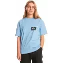 T-shirt Quiksilver Back Flash Hydrangea Junior