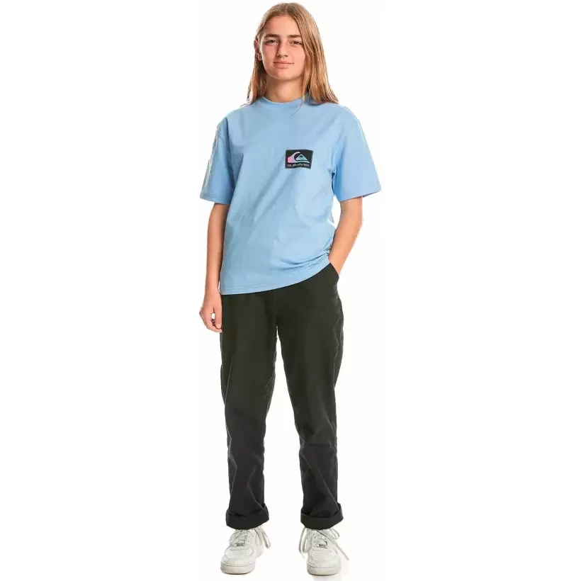 Camiseta quiksilver Back Flash Hydrangea Junior