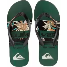 flip flops Quiksilver Java art Green