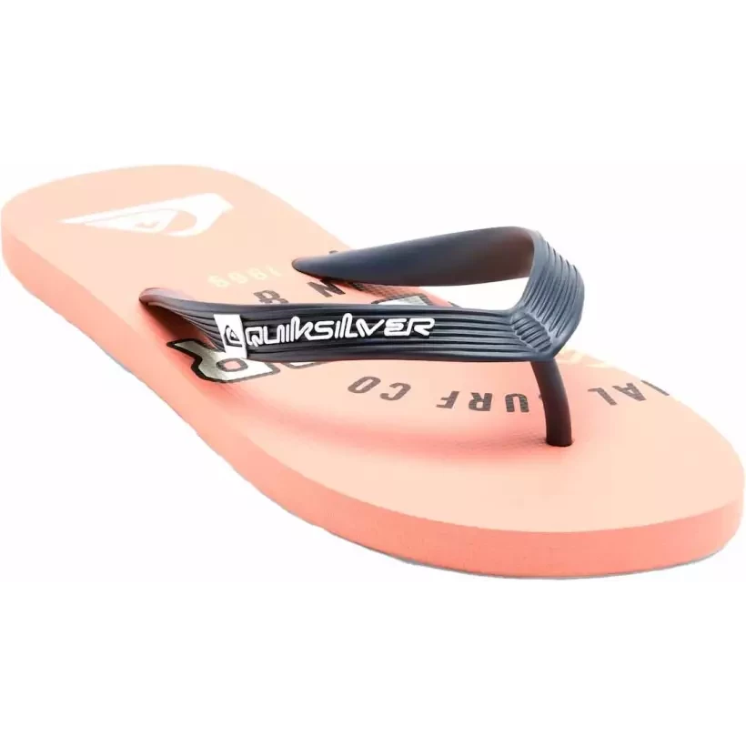 Chanclas Quiksilver Java art azul/rosa/Beige
