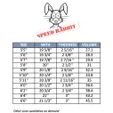 Tabla de surf MS Speed Rabbit Round Pin