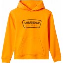 Sudadera Quiksilver Graphic Youth Hoodie Orange