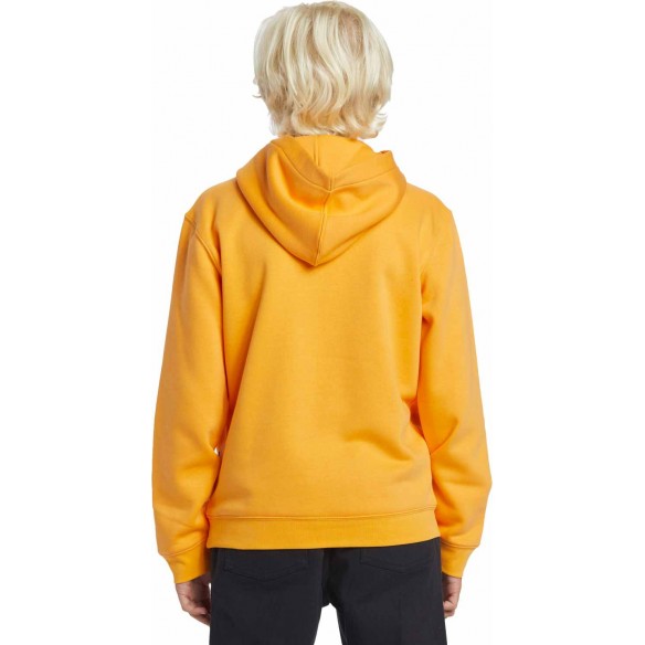 Felpa Quiksilver Graphic Youth Hoodie Orange