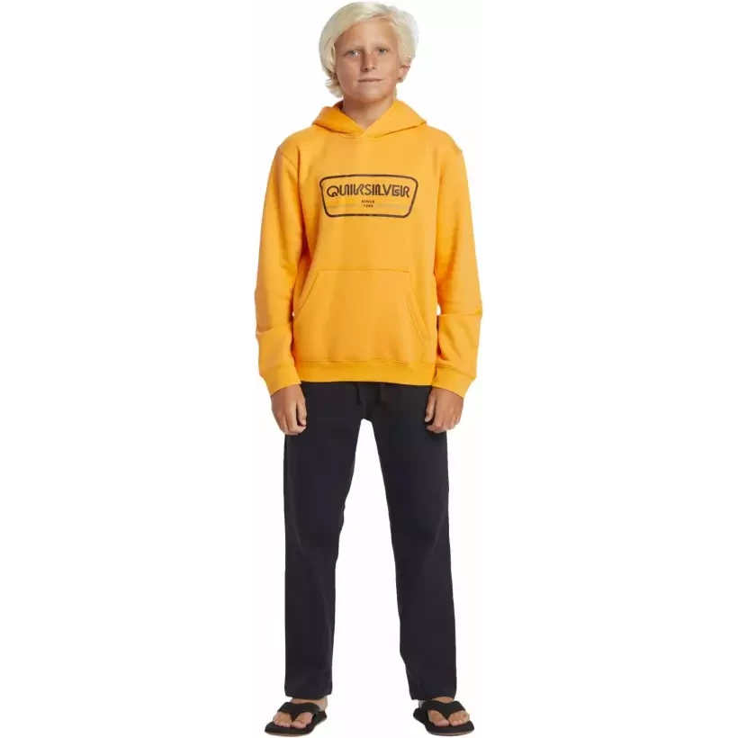 Suéter Quiksilver Graphic Youth Hoodie Orange