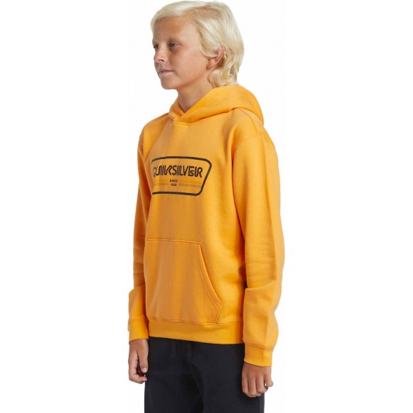 Sweatshirt Quiksilver Graphic Youth Hoodie Orange